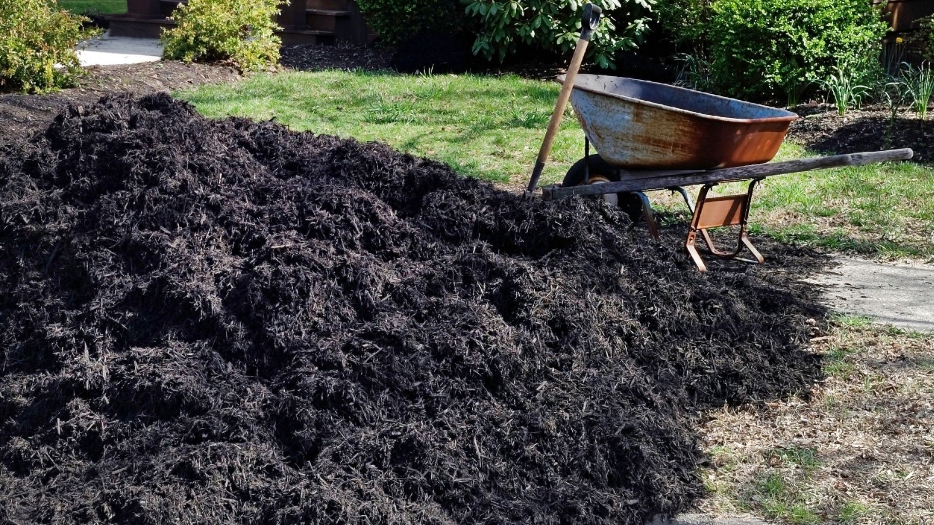 Black mulch installation for landscape beds in Houston TX by Leatherwood Lawn Specialists | commercial landscaping, lawn care, lawn maintenance, drainage, concrete, outdoor solutions near Houston TX Black mulch installation for landscape beds in Houston TX by Leatherwood Lawn Specialists